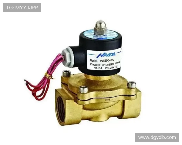 挖掘机动臂液压锁单向阀密封